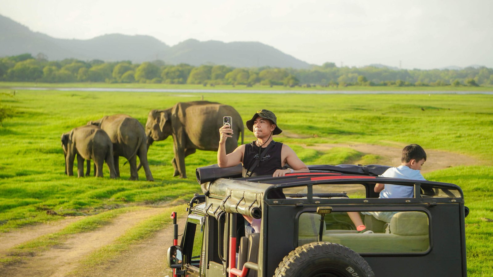 GoMinneriya safari