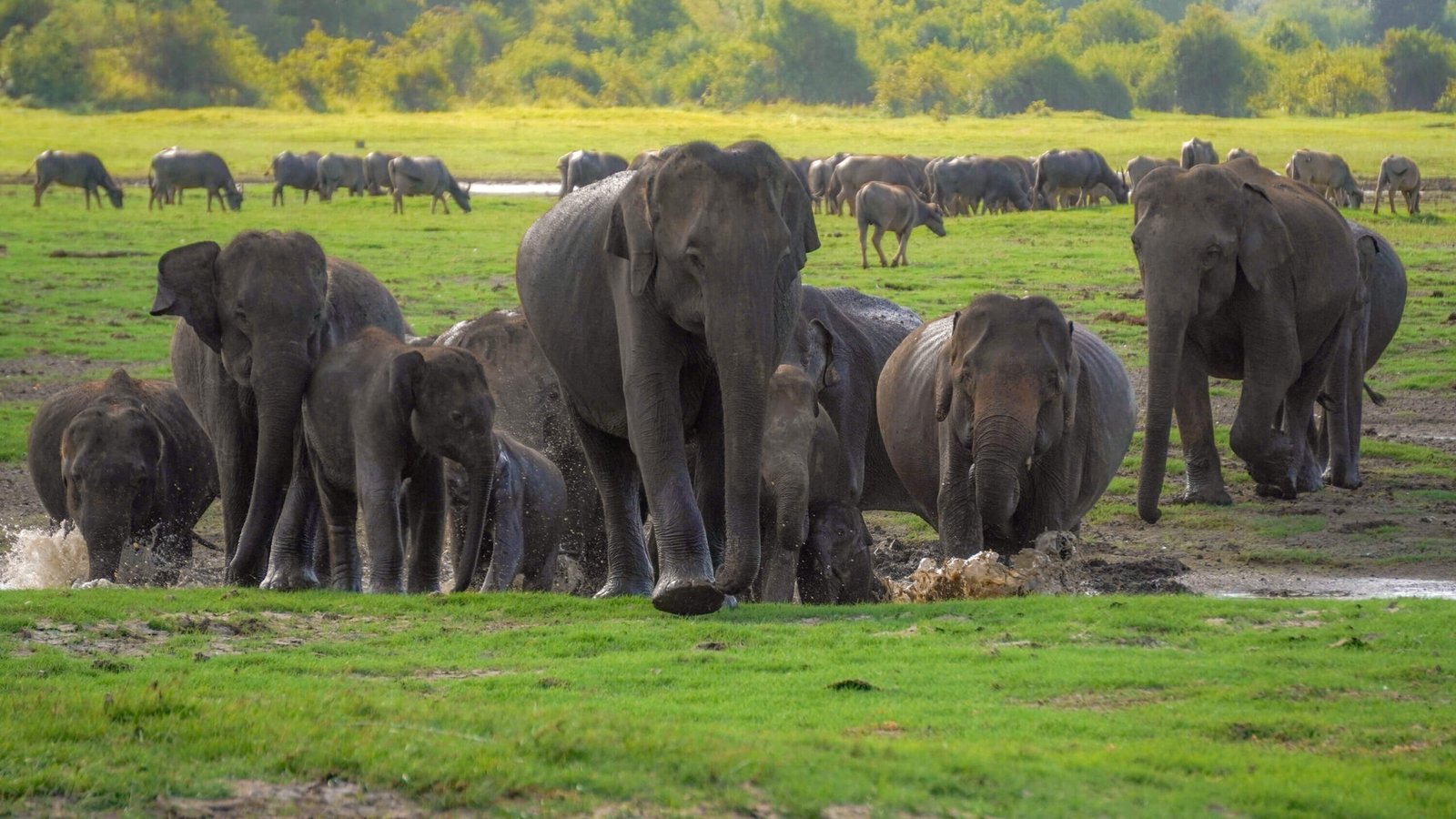 Photography Safari 01